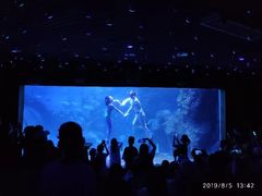 -左海海底世界