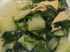 -老吉堂上海本帮菜(望京万象汇店)