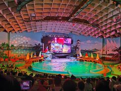 -海合安武汉极地海洋公园