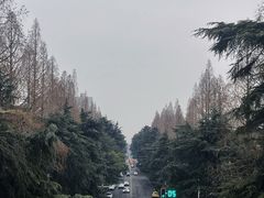 -明故宫遗址公园