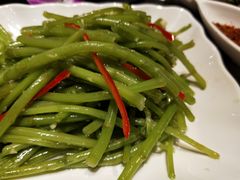 芦蒿-胖锅轩(水塔店)