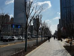 -长白岛森林公园