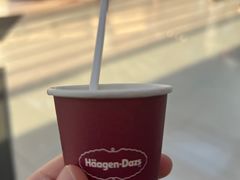 -哈根达斯(陆家浜路店)