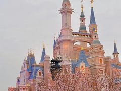 -上海迪士尼度假区