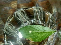 -MIKAKU(万达广场上海宝山店)