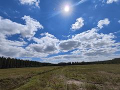 -黄海国家森林公园