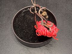 -大拙里·精致融合菜(沙湖桃源国际店)