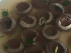 -老白肉馆(临江小区店)