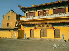 -南汇水蜜桃采摘(大团店)