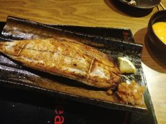 喷火青花鱼-鸟内会(河北路店)