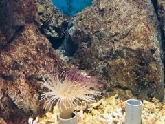 -福州罗源湾海洋世界旅游区