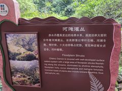 -赤水丹霞旅游区·佛光岩