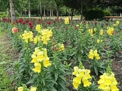 -哈尔滨师范大学(松北校区)