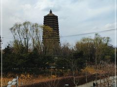 -玲珑塔公园