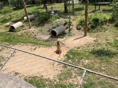-济南野生动物世界