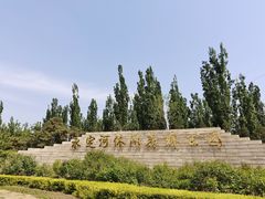 -永定河休闲森林公园