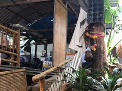 -Jungle Kitchen