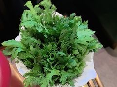 -南门四季铜锅涮肉(大屯·北苑店)