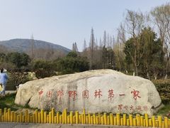 -习家池