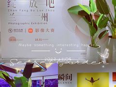 -国芳中心