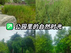 -木塔寺遗址生态公园