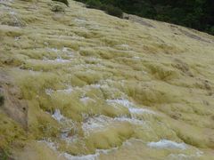 -黄龙山原始森林景区