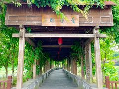 -荷塘月色湿地公园·向阳花洲