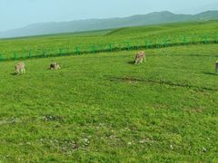 -新疆那拉提国家旅游度假区