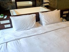 -中铁花水湾温泉酒店(大邑店)