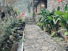 -MOJ coffee(瓯海泽雅水碓坑店)