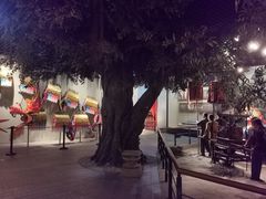 -深圳博物馆历史民俗馆