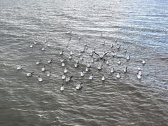 -青海湖仙女湾景区