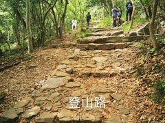 -紫金山山顶公园