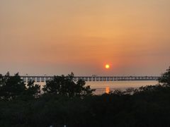 -宝安西湾红树林湿地公园