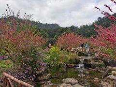 -广州市石门国家森林公园