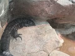 -福州罗源湾海洋世界旅游区