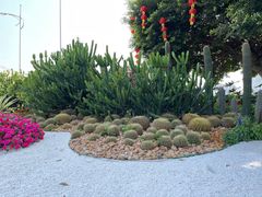 -海心沙亚运公园