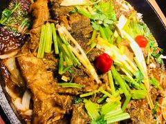 -老板恋上鱼(恒隆广场店)