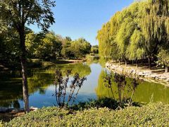 -大兴滨河森林公园