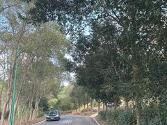 -梧桐山风景名胜区