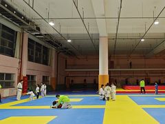 -武术世家少儿培训中心(首都体育学院店)