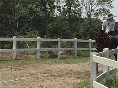 -杭州湾海上花田景区