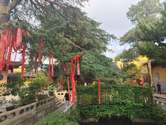 -灵岩山风景区