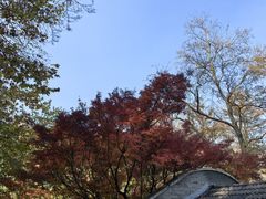 -莫干山风景区