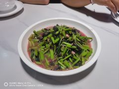 -全乐鱼馆·淳牌有机鱼直营店