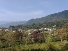 -塔川景区