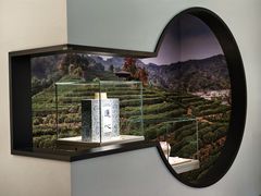 -中国茶叶博物馆(双峰馆区)