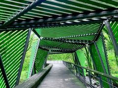 -西湖风景区-江洋畈生态公园