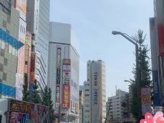 -秋叶原电器街