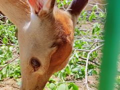 -清风小镇闯关东影视基地